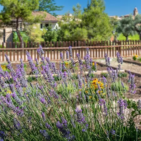 Hotel Vilar Rural D'arnes By Serhs 4*