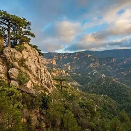 Vilar Rural D'arnes By Serhs 4* Sant Carles De La Rapita